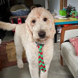 Meet your Posher, Jack